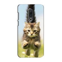 Чехлы с Котиками для Meizu 16th (VPrint) (Прыжок кота)