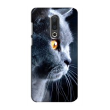 Чехлы с Котиками для Meizu 16th (VPrint) (Серый Кот)