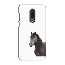 Чехлы с Лошадью дляMeizu 16th (VPrint) (Черный Конь)