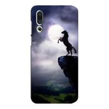 Чехлы с изображением разных животных для Meizu 16s (Лошадь)
