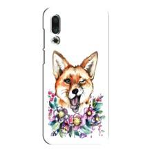 Чехлы с картинкой Лисички для Meizu 16s (VPrint) (Веселая лисичка)