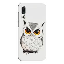 Чехол с птицами на Meizu 16s (VPrint) (Милая Сова)