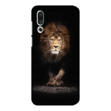 Чехол со Львом для Meizu 16s (VPrint) (Лев)