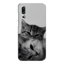 Чохол з малюнком кіт на Meizu 16s – Пара котів