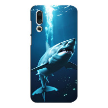 Чехол с картинкой «Хищники» для Meizu 16s – Акула