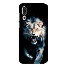 Чехол с картинкой «Хищники» для Meizu 16s – Лев