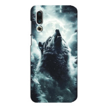 Чехол с картинкой «Хищники» для Meizu 16s