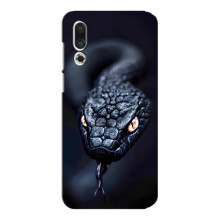 Чехол с картинкой «Хищники» для Meizu 16s – Змея