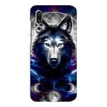Защитные чехлы для Мейзу 16с (AlphaPrint) (ХИТ продаж) ВОЛК (Волк)