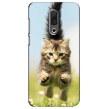 Чехлы с Котиками для Meizu 16|16X (VPrint) (Прыжок кота)