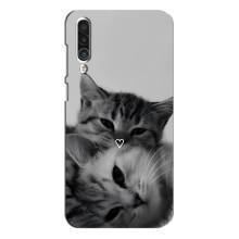 Чохол з малюнком кіт на Meizu 16xs – Пара котів