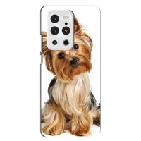 Чехол (ТПУ) Милые собачки для Meizu 18 Pro – Собака Терьер