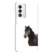 Чехлы с Лошадью дляMeizu 18 (VPrint) (Чорний кінь)