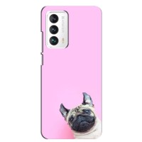 Бампер для Meizu 18 с картинкой "Песики" (Собака на розовом)