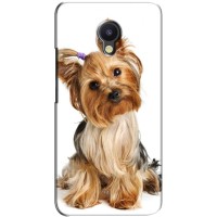 Чехол (ТПУ) Милые собачки для Meizu M5 Note – Собака Терьер