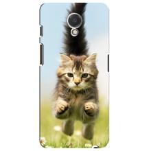 Чехлы с Котиками для Meizu M6s (VPrint) (Прыжок кота)