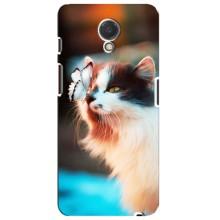 Чехол на Мейзу М6с с Котами (VPrint) (Котик с бабочкой)