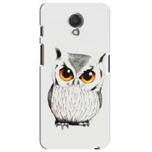 Чехол с птицами на Meizu M6s (VPrint) (Милая Сова)