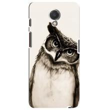 Чехол с птицами на Meizu M6s (VPrint) (Сова)