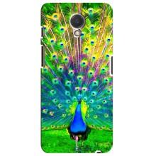 Чехол с птицами на Meizu M6s (VPrint) (Яркий Павлин)
