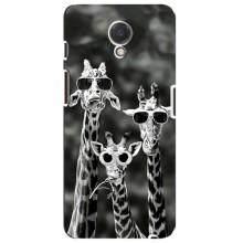 Силиконовый чехол с КАРТИНКАМИ лето для Meizu M6s (AlphaPrint) (Жирафы в очках)