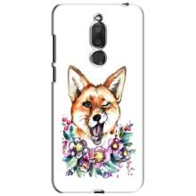 Чехлы с картинкой Лисички для Meizu M6T, Meilan 6T (VPrint) (Веселая лисичка)