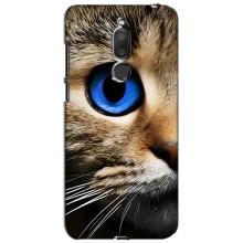 Чохли з Котиками для Meizu M6T, Meilan 6T (VPrint) (Око кота)