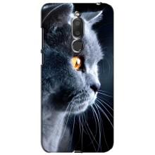 Чохли з Котиками для Meizu M6T, Meilan 6T (VPrint) (Сірий Кіт)