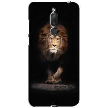 Чехол со Львом для Meizu M6T, Meilan 6T (VPrint) (Лев)