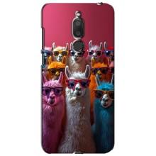 Чохол з принтом стильні тварини для Мейзу М6Т – Лами в окулярах