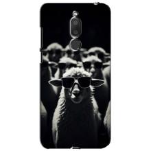 Чохол з принтом стильні тварини для Мейзу М6Т – Овечка в окулярах