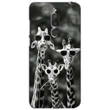Силиконовый чехол с КАРТИНКАМИ лето для Meizu M6T, Meilan 6T (AlphaPrint) (Жирафы в очках)