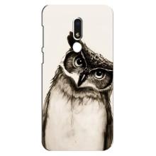 Чехол с птицами на Meizu M8 Lite (VPrint) (Сова)