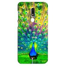 Чехол с птицами на Meizu M8 Lite (VPrint) (Яркий Павлин)