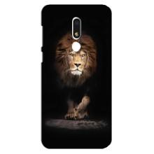 Чехол со Львом для Meizu M8 Lite (VPrint) (Лев)