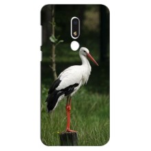 Силиконовый чехол с птичкой на Meizu M8 Lite – Лелека