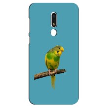 Силиконовый чехол с птичкой на Meizu M8 Lite – Попугайчик