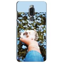 Чехлы с изображением разных животных для Meizu Note 8 (Ежик на руках)