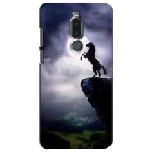 Чехлы с изображением разных животных для Meizu Note 8 (Лошадь)