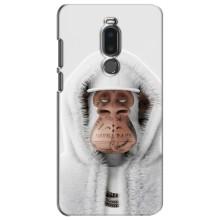 Чехлы с Обезьянами NFT для Meizu Note 8 (AlphaPrint) (обезьяна NFT в тату)