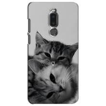 Чохол з малюнком кіт на Meizu Note 8 (Пара котів)