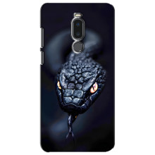 Чохол з картинкою 'Хижаки' для Meizu Note 8 – Змія