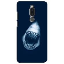 Силиконовый бампер с картинкой животных для Meizu Note 8 (Пасть Акулы)