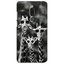 Силиконовый чехол с КАРТИНКАМИ лето для Meizu Note 8 (AlphaPrint) (Жирафы в очках)