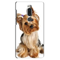 Чехол (ТПУ) Милые собачки для Meizu M8/V8 – Собака Терьер