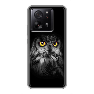 Чехлы с принтом СОВЫ для Meizu 22 – Сова на чёрном