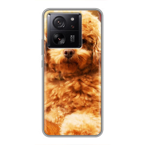 Чехлы с собаками для Meizu 22 (VPrint)