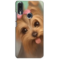 Чехол (ТПУ) Милые собачки для Meizu Note 9 – Йоршенский терьер