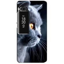 Чохли з Котиками для Meizu Pro 7 Plus (VPrint) (Сірий Кіт)