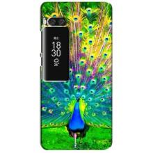 Чехол с птицами на Meizu Pro 7 Plus (VPrint)